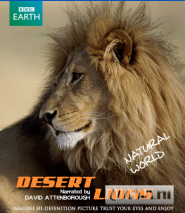 BBC.  :   / Planet Earth - Natural World: Desert Lions